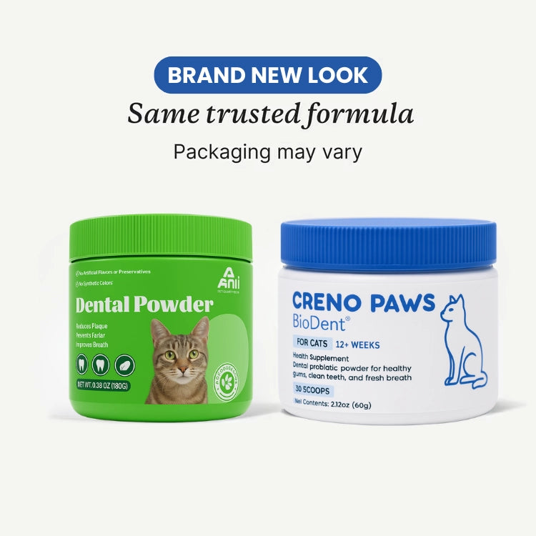 BioDent® Dental Powder