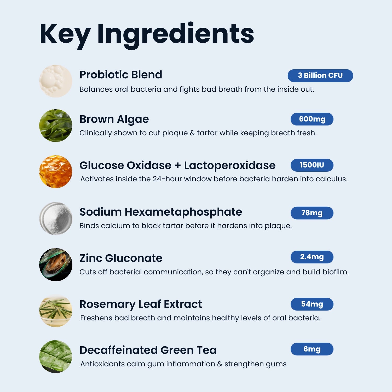 BioDent® Dental Powder