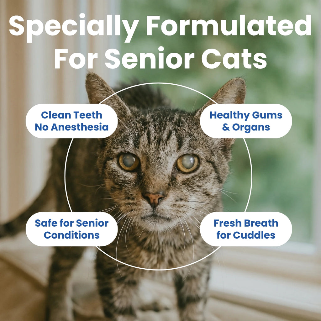 BioDent® Senior Cat Dental Powder