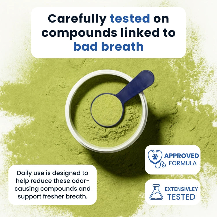 BioDent Dental Powder