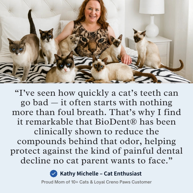 BioDent Dental Powder