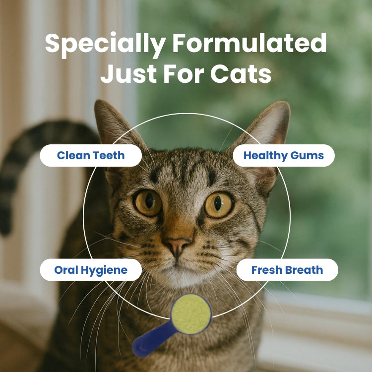 BioDent Dental Powder