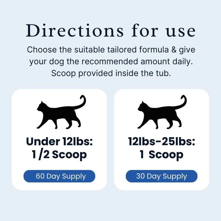 BioDent Dental Powder