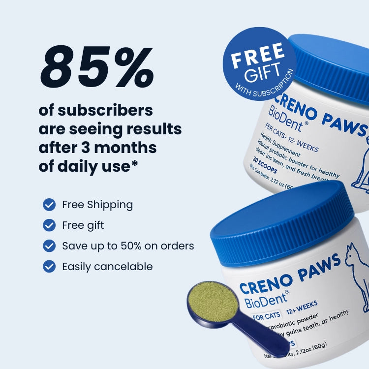 BioDent Dental Powder