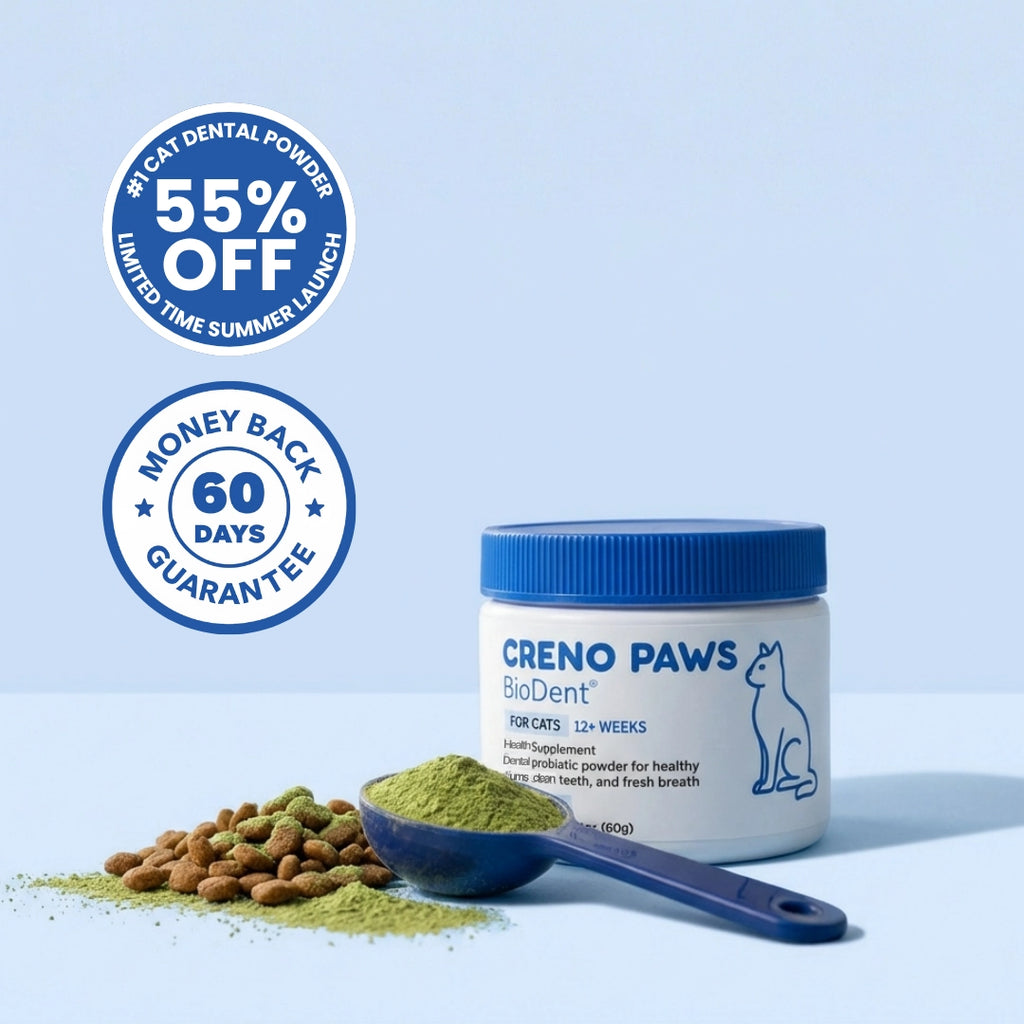 BioDent Dental Powder