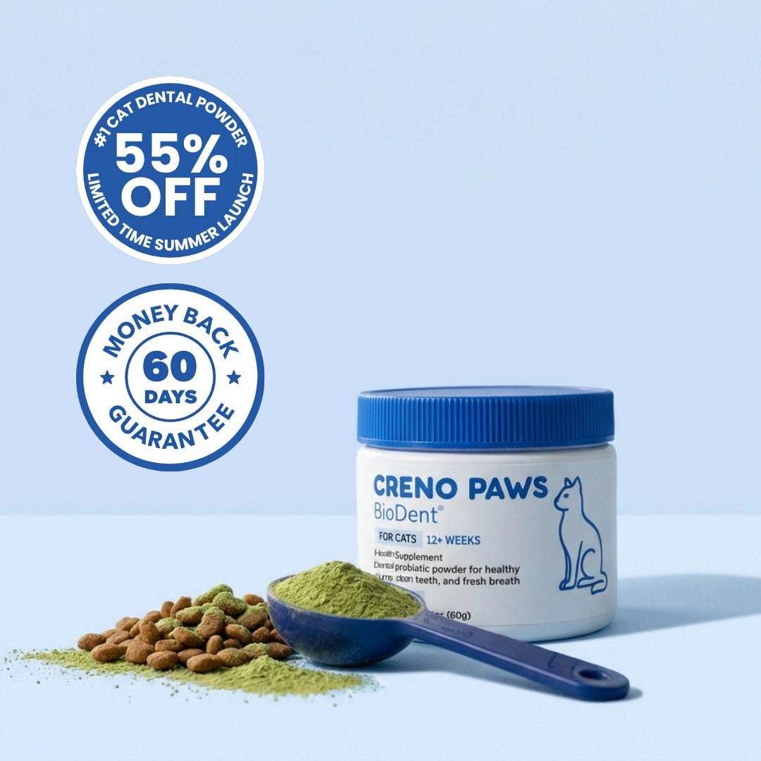 BioDent Dental Powder