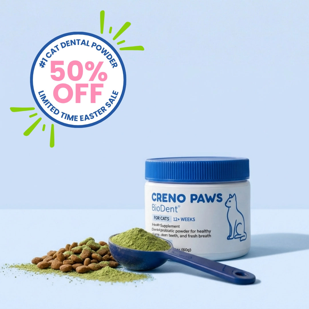 Blue button with white text '20% off'.