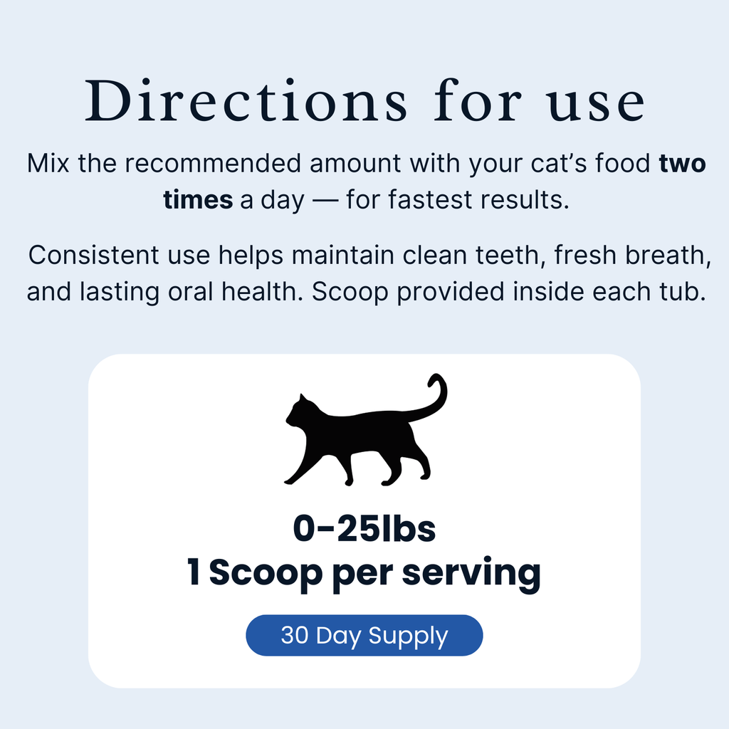 Creno Paws Starter Kit