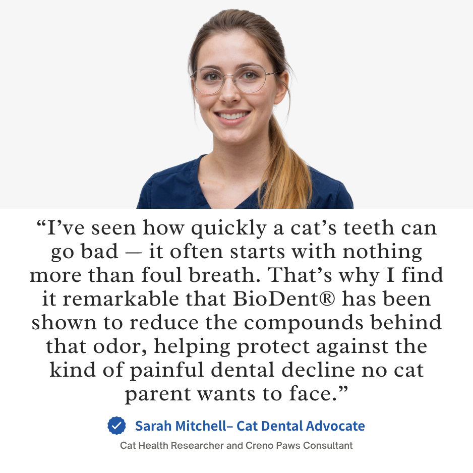 BioDent® Dental Powder