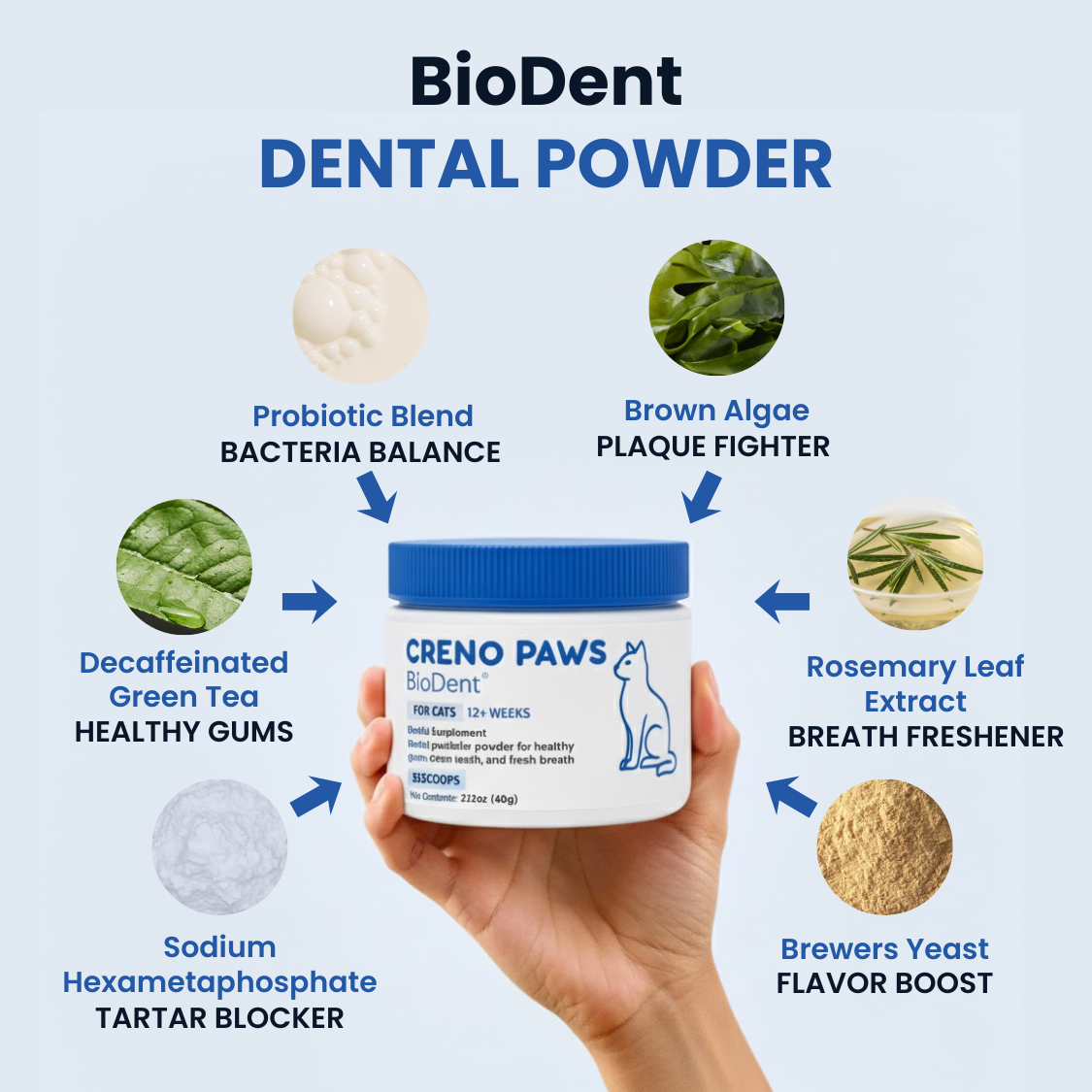 BioDent® Dental Powder