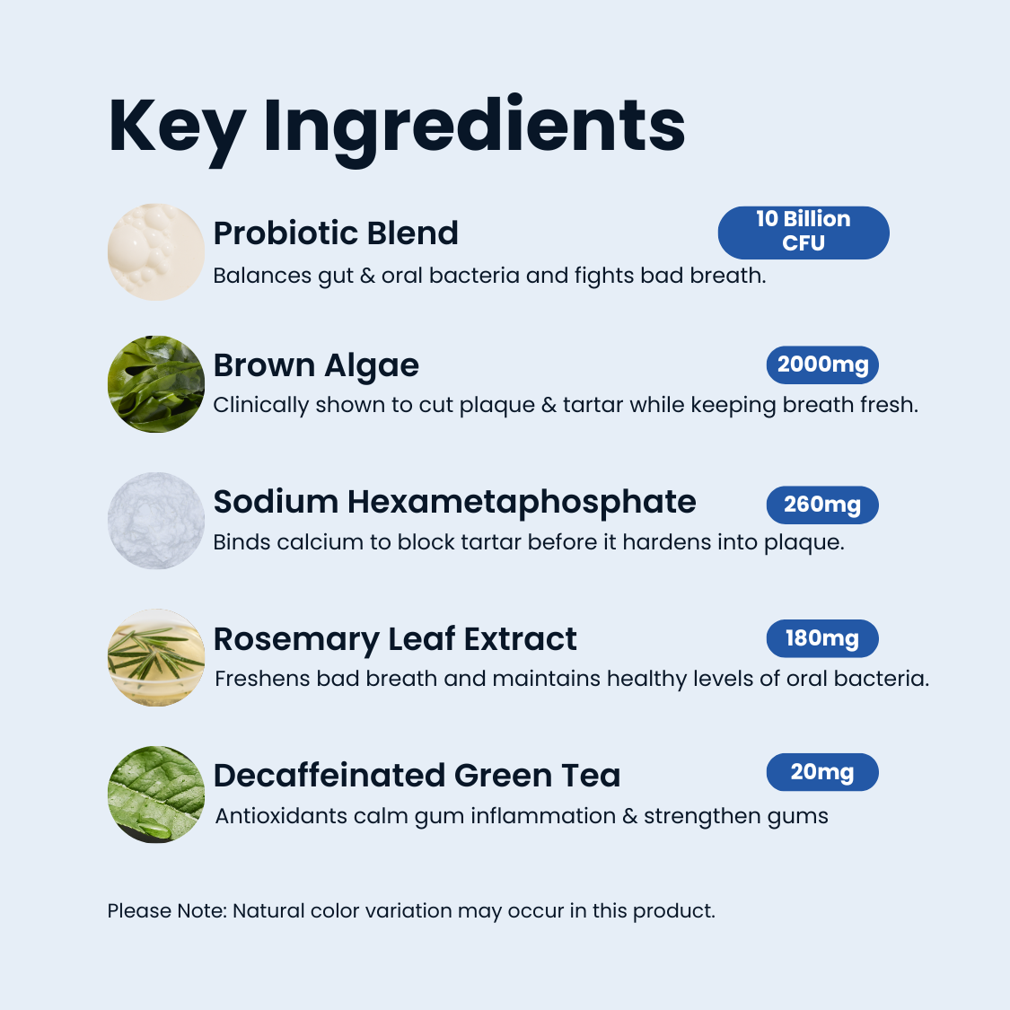 BioDent® Dental Powder