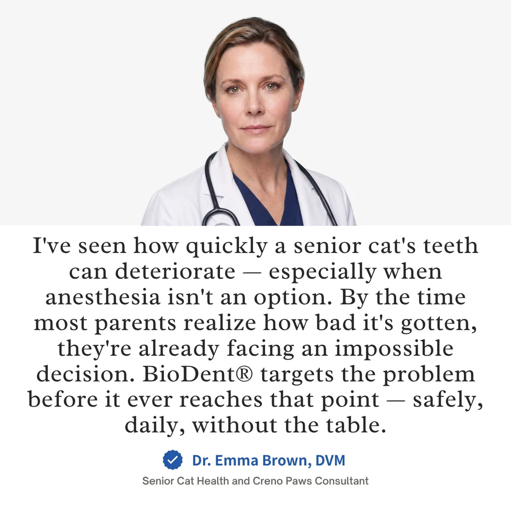 BioDent® Senior Cat Dental Powder